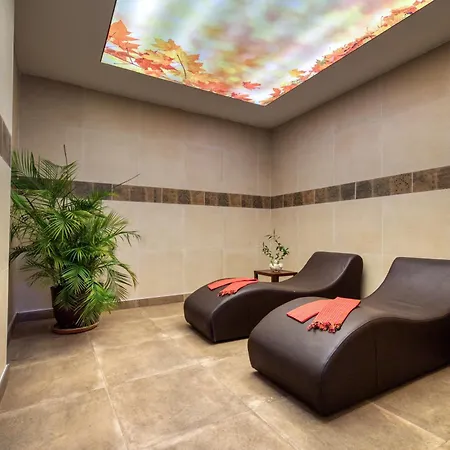 Sealife Lounge - Adult Only