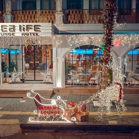 Sealife Lounge - Adult Only