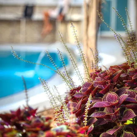 فندق Sealife Lounge - Adult Only
