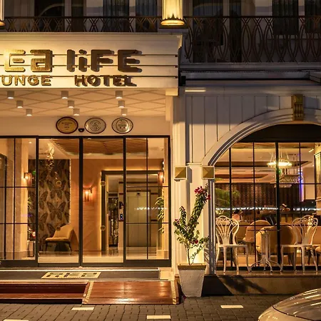 Sealife Lounge - Adult Only 3*