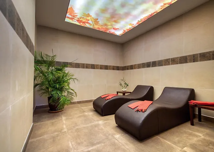 Sealife Lounge - Adult Only