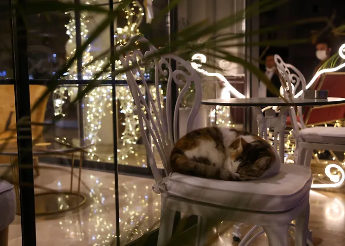 ホテル Sealife Lounge - Adult Only