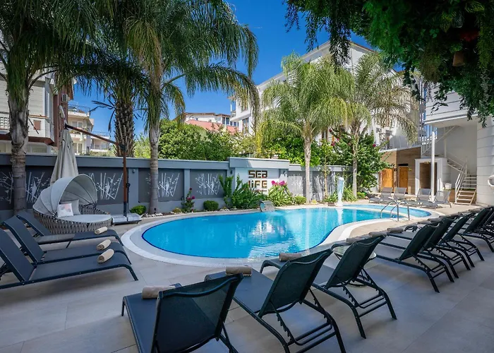 Sealife Lounge - Adult Only ホテル