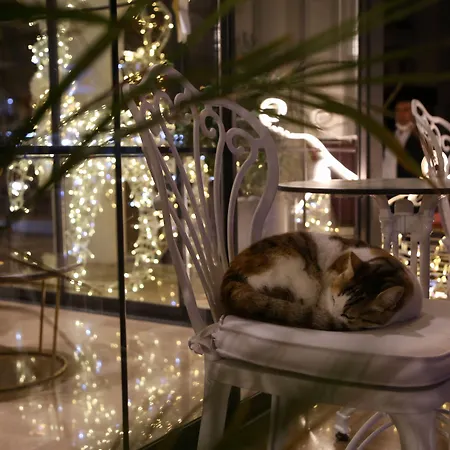 Hotel Sealife Lounge - Adult Only